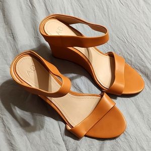 AD and Daughters wedges